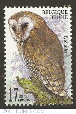 Image #1 of 17 Francs 1999 - Church Owl (Barn Owl)