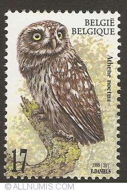 Image #1 of 17 Francs 1999 - Little Owl