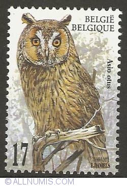 Image #1 of 17 Francs 1999 - Long-eared Owl