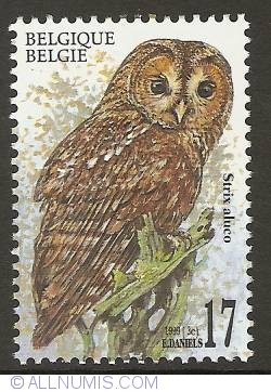 Image #1 of 17 Francs 1999 - Tawny Owl