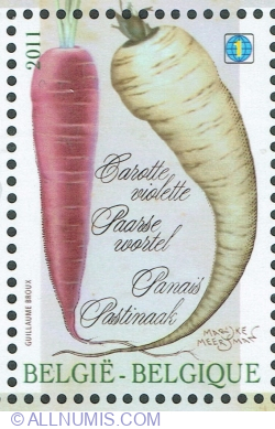Image #1 of 1 World 2011 - Violet Carrot and Parsnip