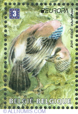 Image #1 of 3 Europe 2011 - Eurasian Jay (Garrulus glandarius)
