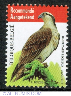 R° 2011 - Osprey (Pandion haliaetus)