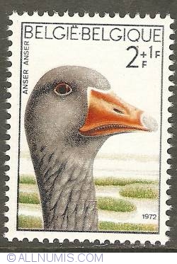 Image #1 of 2 + 1 Francs 1972 - Greylag Goose
