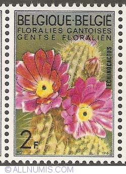 Image #1 of 2 Francs 1965 - Floralies of Ghent - Echinocactus (brighter colors)