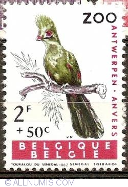 Image #1 of 2 Francs + 50 Centimes 1962 - Guinea Turaco (Tauraco persa)