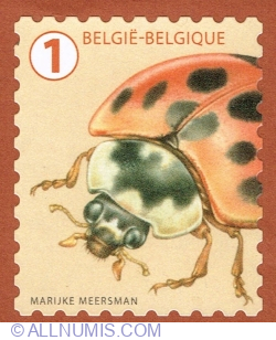 Image #1 of "1" 2020 - Asian Ladybug (Harmonia axyridis)