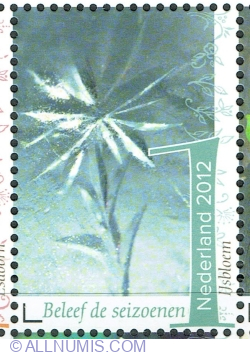 1° 2012 - Floare de gheață