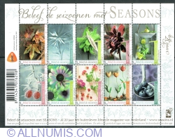 10 x 1° 2012 - Experience the Seasons