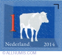 1° 2014 - Cow