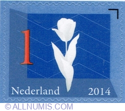 Image #1 of 1° 2014 - Tulip