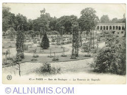 Paris - Bois de Boulogne - La Roseraie de Bagatelle (1919)