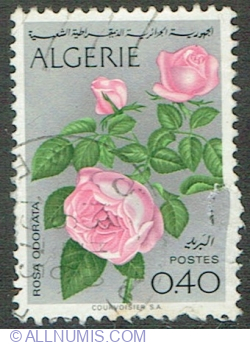 Image #1 of 0.40 Dinar 1973 - Rose (Rosa odorata)