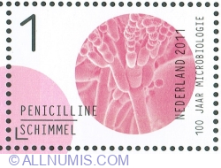 Image #1 of 1° 2011 - Penicilline / Schimmel (penicillin/mold)