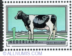 1° 2012 - Frisian-Dutch Holstein Black (Bos primigenius taurus)