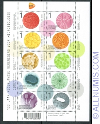 10 x 1° 2011 - Netherlands Society for Microbiology, Centenary