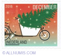 December ° 2016 - Christmas Tree Transport