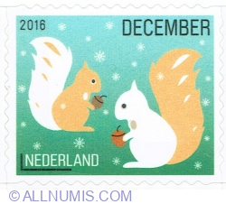 December ° 2016 - Squirrels