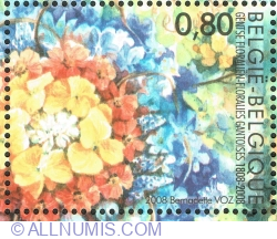 0.80 € 2008 - Flower show of Ghent