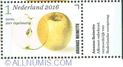 1° 2016 - Ananas Reinette