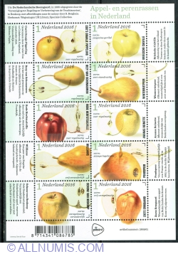 10 x 1° 2016 - Apple and Pear varieties in the Netherlands