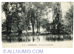 Bordeaux - Un coin du Jardin Public (1920)