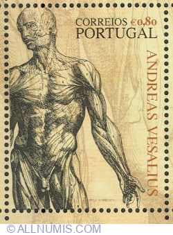 Image #1 of 0.80 Euro 2014 - Andreas Vesalius - 500 Years