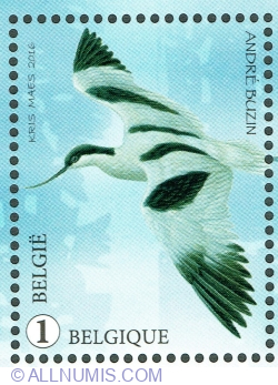 Image #1 of "1" 2016 - Avocet (Recurvirostra avosetta)