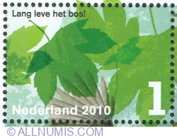 1° 2010 - Leaves