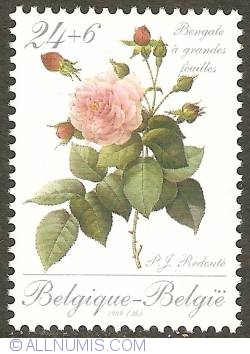 Image #1 of 24 + 6 Francs 1989 - Roses of P.J. Redouté - Bengale à grandes feuilles