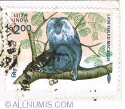 2 Rupees 1983 - Lion-tailed Macaque (Macaca silenus)