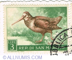 Image #1 of 3 Lire 1960 - Eurasian Woodcock (Scolopax rusticola)