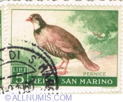 Image #1 of 5 Lire 1960 - Red-legged Partridge (Alectoris rufa)