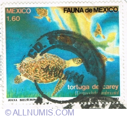 1,60 Pesos 1982 - Hawksbill Turtle (Eretmochelys imbricata)