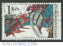 1 Koruna 1975 - Siamese Fighting Fish and Freshwater Angelfish