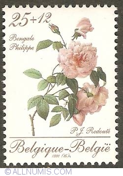 Image #1 of 25 + 12 Francs 1990 - Roses of P.J. Redouté - Bengale Philippe