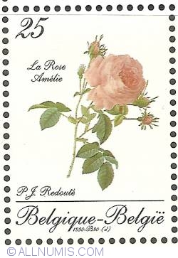 Image #1 of 25 Francs 1990 - Roses of P.J. Redouté - La Rose Amélie