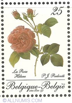 Image #1 of 25 Francs 1990 - Roses of P.J. Redouté - La Rose Hélène