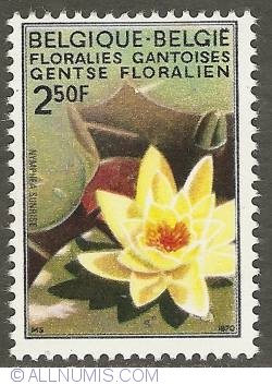 Image #1 of 2,50 Francs 1970 - Floralies of Ghent - Water Lily - different colours