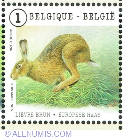 Image #1 of "1" 2015 - European Hare (Lepus europaeus)