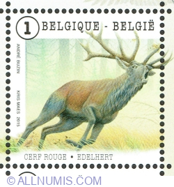 "1" 2015 - Red Deer (Cervus elaphus)