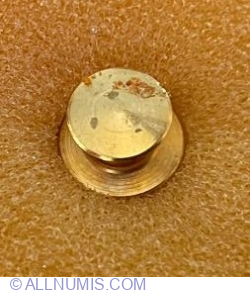 Molar with Pocket Probe