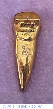 Tooth with Brackets