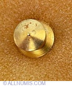 Tooth with Brackets