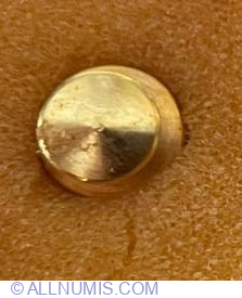 Tooth with Dental Mirror