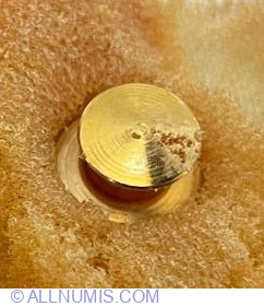 Image #2 of Toothpaste and brush