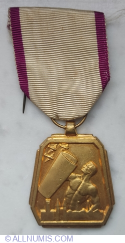 Air Defence Medal, First class