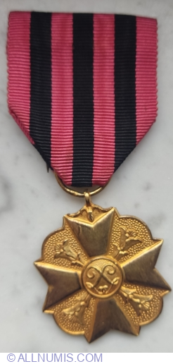 Image #1 of Civic Medal, First Class
