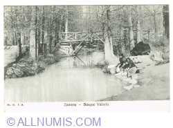 Zamora - Bosque Valorio (1920)