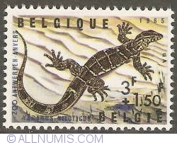 3 + 1,50 Francs 1965 - Nile Monitor